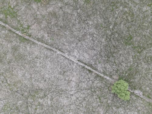 DJI_2869.JPG